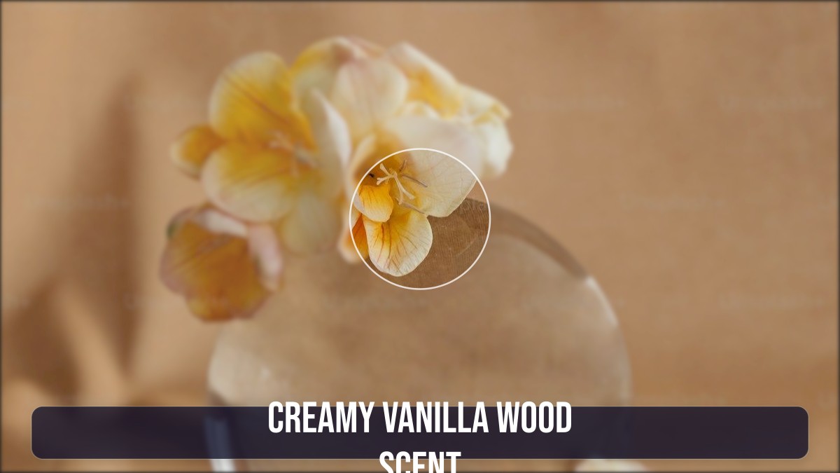 creamy vanilla wood scent