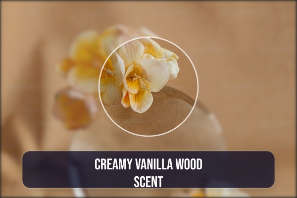 creamy vanilla wood scent