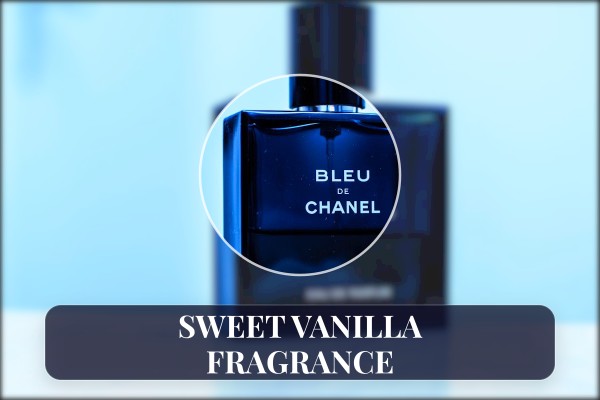 sweet vanilla fragrance