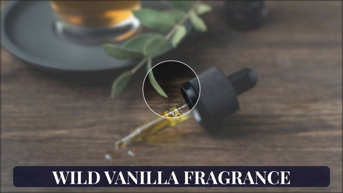 wild vanilla fragrance
